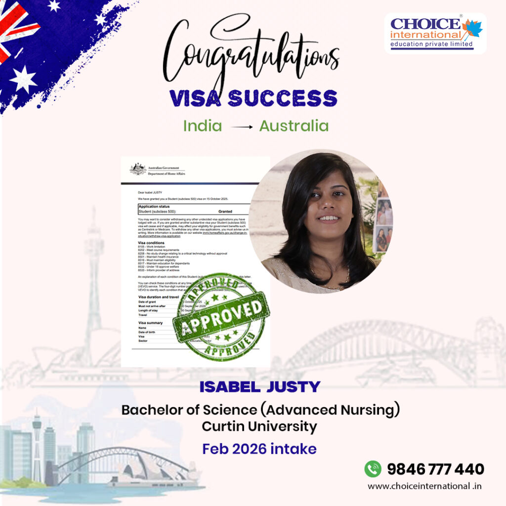 visa success poster